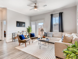 ������ ������� "��������"