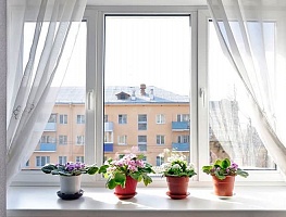 ��������� ����������� ����