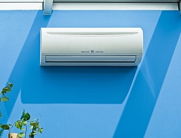 �����������������