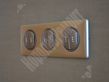 ������ �������� �  �� ������� ������ 12/14