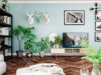 ������������� �����