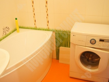 ������ �������� � ���������� ����